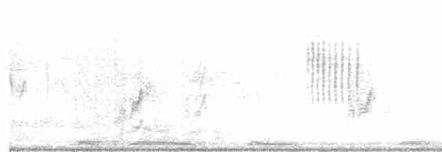Ligurien-Bartgrasmücke - ML618624129