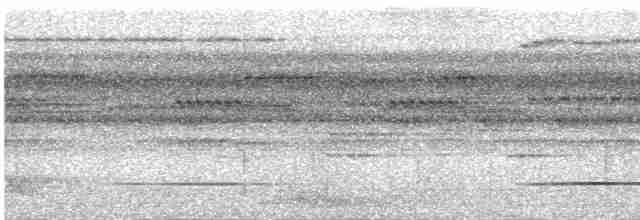 Great Tinamou - ML618624435