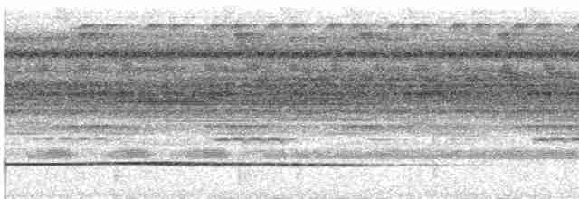 Great Tinamou - ML618624436
