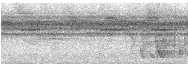 Ardıç Çıtkuşu - ML618625576