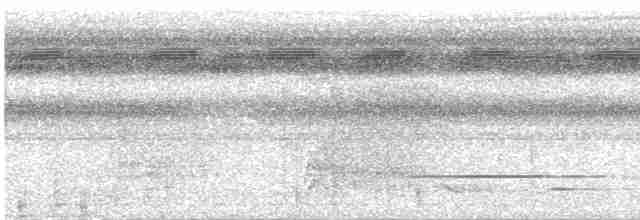 Cinereous Tinamou - ML618625658