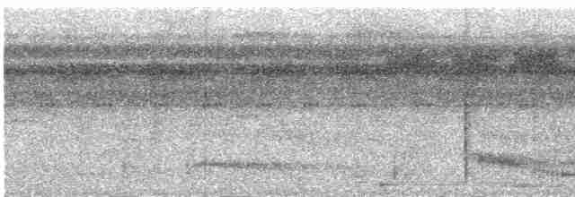 Тукан чорнодзьобий - ML618625853