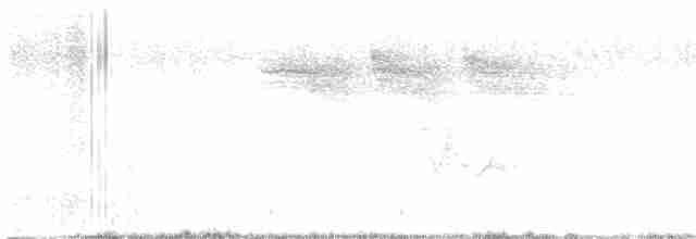 Желтокрылая червеедка - ML618626094