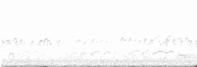Американский бекасовидный веретенник - ML618627250