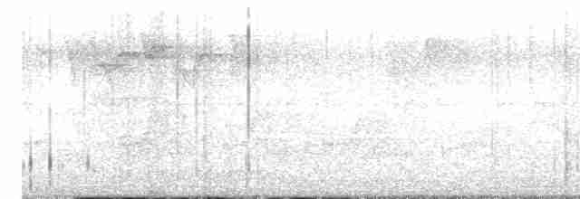 Cerulean Warbler - ML618627708