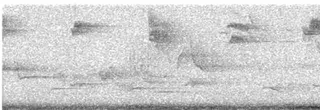 Spotted Flycatcher - ML618628148