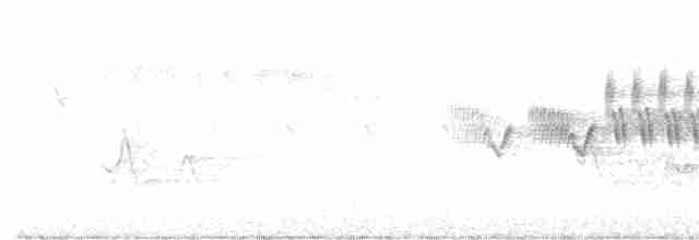 Cerulean Warbler - ML618628265