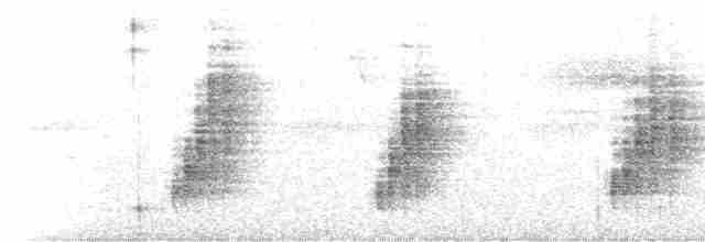Gri Göğüslü Çıtkuşu - ML618628348
