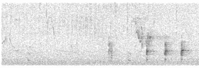 Great Reed Warbler - ML618628384