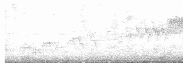lesňáček modropláštíkový - ML618628574