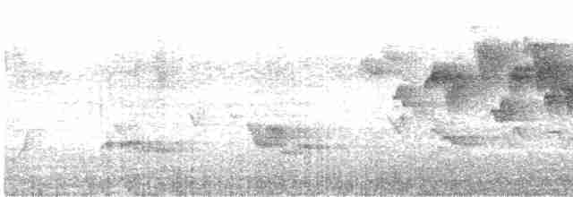 Тихоокеанский крапивник - ML618629725