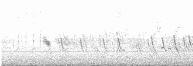Büyük Mor Kırlangıç - ML618629847
