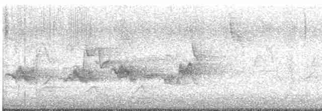 Чернокрылая пиранга - ML618630391