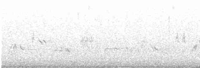 gråsolitærtrost - ML618630732