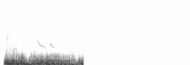 Короткоклювый бекасовидный веретенник - ML618631068