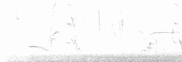 drozdec černohlavý - ML618631799