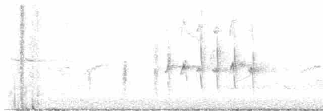 nordmyggsmett (caerulea) - ML618632603