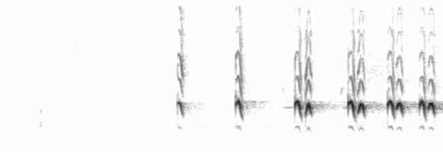 Chaparralgrasmücke - ML618632814
