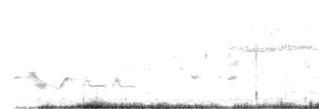 Western Orphean Warbler - ML618632987