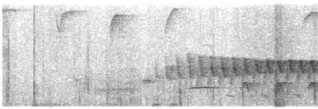 Troglodyte de Sharpe - ML618634054
