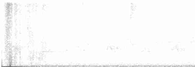 grånakkebekard - ML618635653