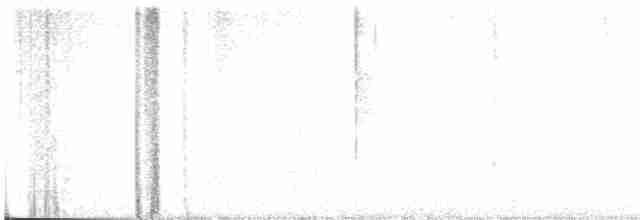 Каньонный крапивник - ML618635700