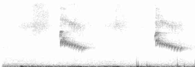 Каролинский крапивник - ML618638373