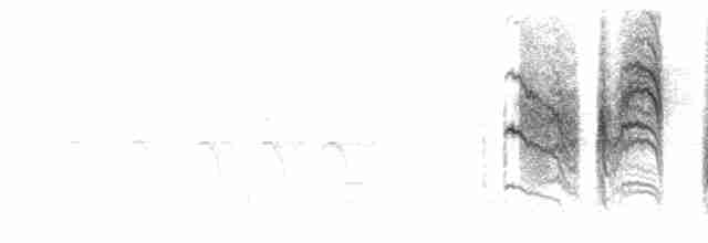 leskot modrošedý [skupina obscura] - ML618638909