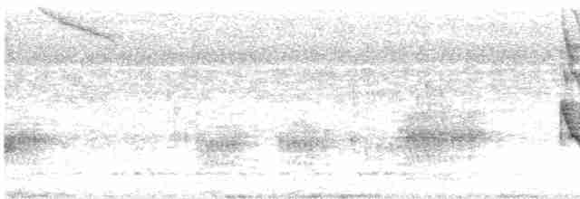 Turuncu Başlı Ardıç - ML618639368