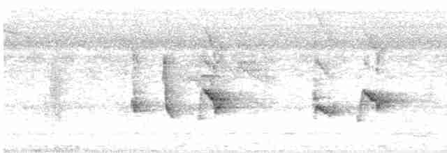 Turuncu Başlı Ardıç - ML618639369