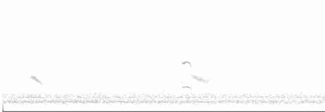 Common Tern - ML618641065