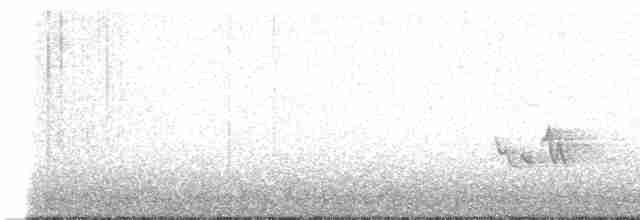 Красноглазый виреон - ML618641728
