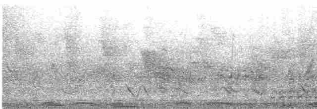 Абиссинский рогатый ворон - ML618641941