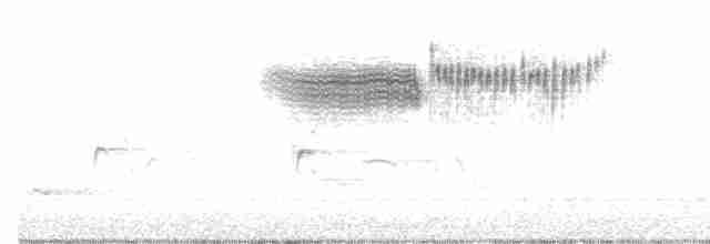 Голубокрылая червеедка - ML618646237