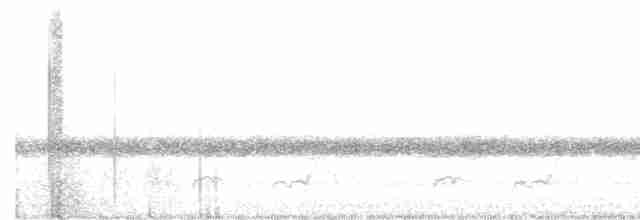 Schwarzkehl-Nachtschwalbe - ML618646277