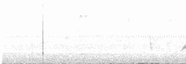 White-eyed Vireo - ML618647301