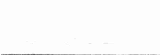 Дрізд-короткодзьоб плямистоволий - ML618647311