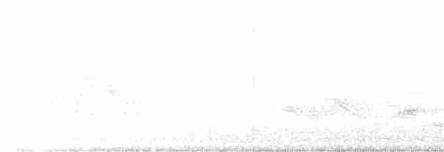 Дрізд-короткодзьоб малий - ML618647379