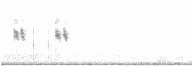 Çalı Bülbülü [galactotes grubu] - ML618651150