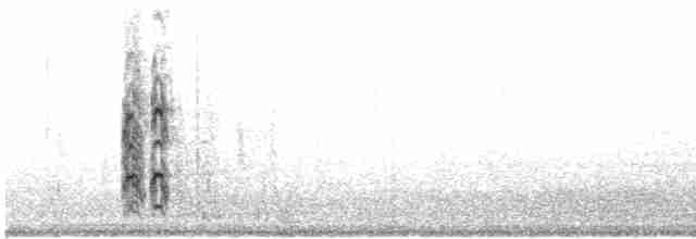 čejka černohlavá - ML618651188
