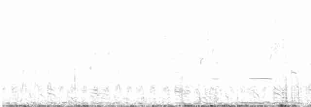 Sharp-tailed Grouse - ML618651226