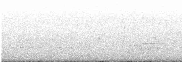 中杓鷸(Hudsonian) - ML618651937
