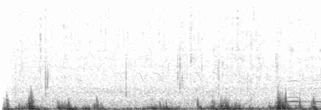 Cisne Trompetero - ML618652782
