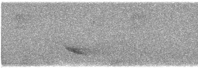 Дрізд-короткодзьоб бурий - ML618652857