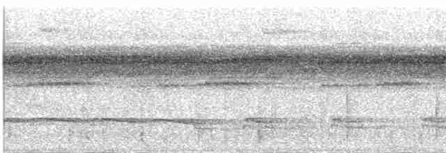Лінивка-чорнопер білолоба - ML618653238