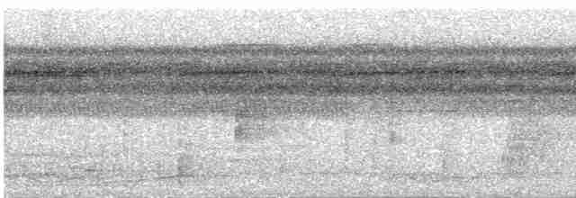 Kara Yüzlü Karıncakuşu - ML618653249