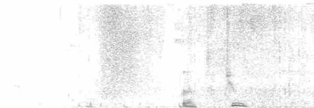 Kara Gagalı Koca Vireo - ML618653930