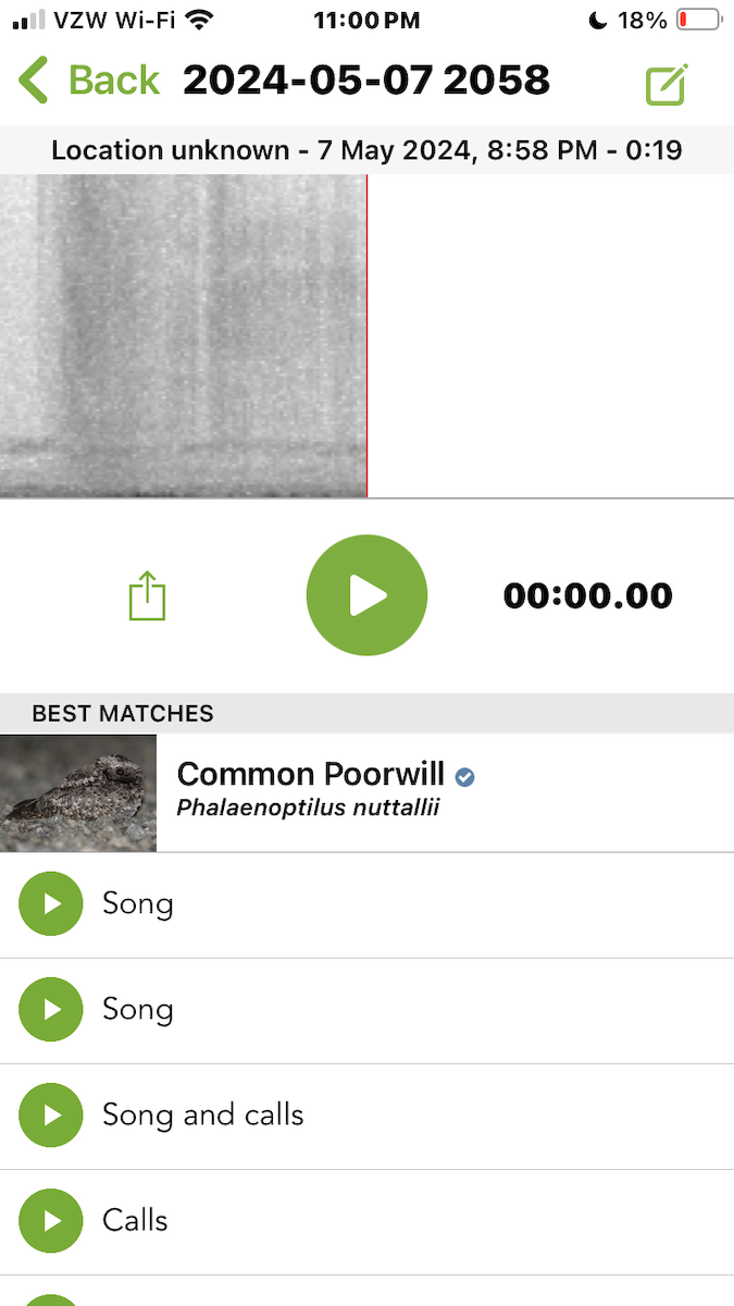 Common Poorwill - ML618653975