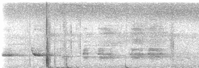 白斑紫嘯鶇 - ML618654302