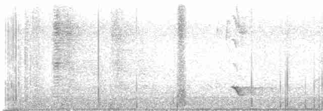Méliphage carillonneur - ML618655523